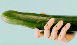 Penis-Mapping – Die geheime Karte des Vergnügens