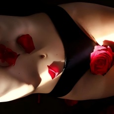 Periodensex 101: Ein Leitfaden für Vergnügen, Komfort und Sauberkeit